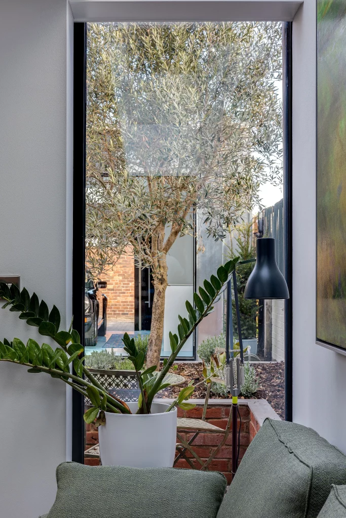 Tall window showing a small courtyard with an olive tree, potted plant on the sill, outdoor chair and black floor lamp nearby.