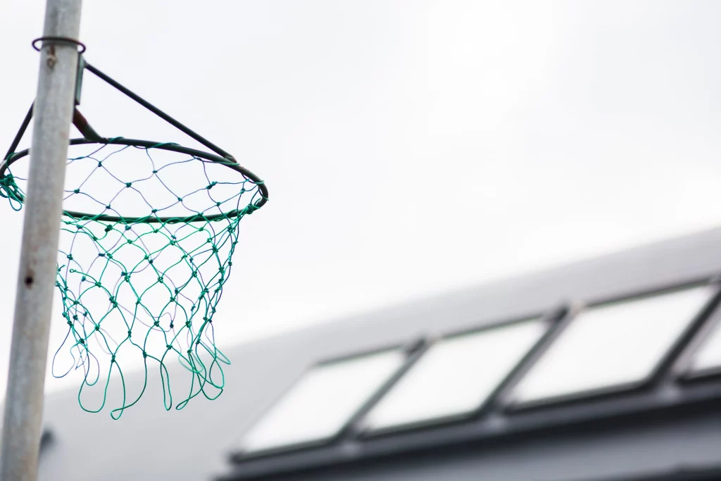 Green wire net attached to a metal hoop and pole, photographed against a bright, out-of-focus background.